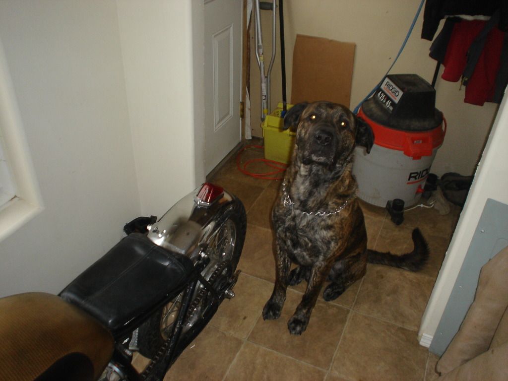 DSC00067.jpg