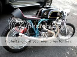 imagesCA9C8SG1.jpg