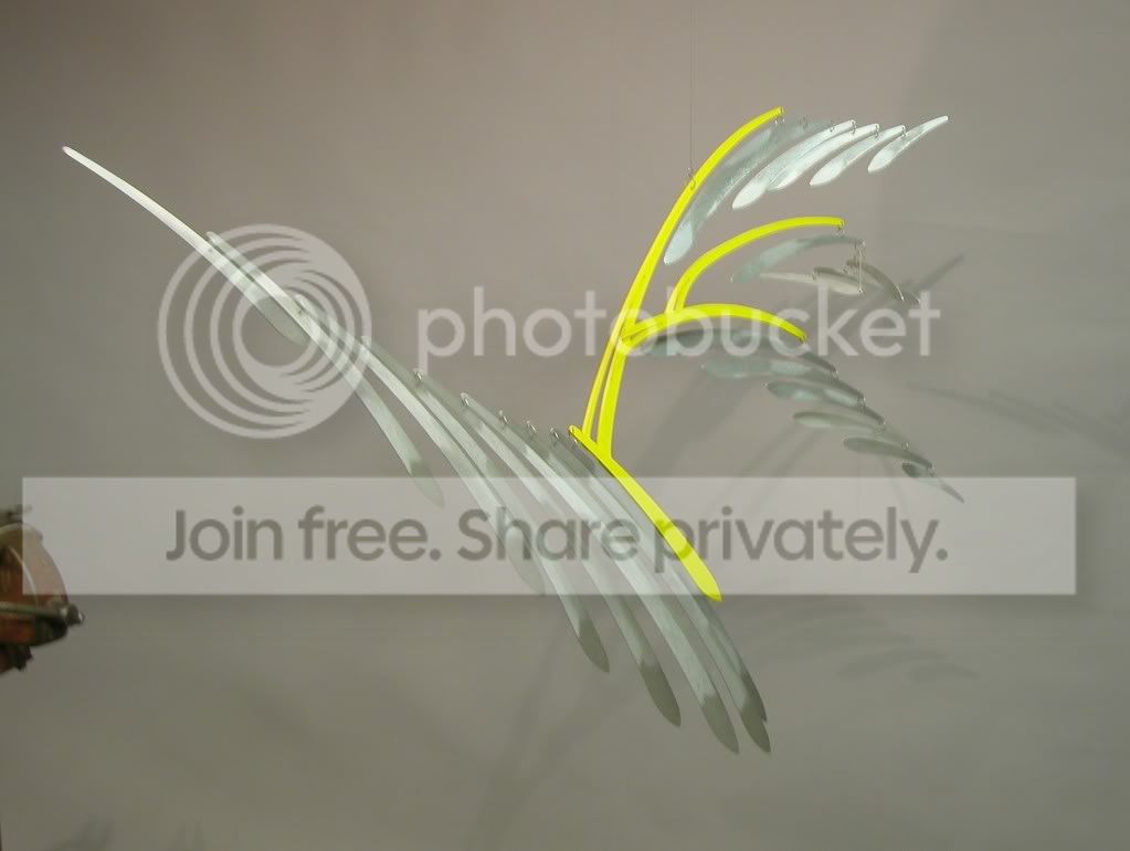 DSCN8499.jpg