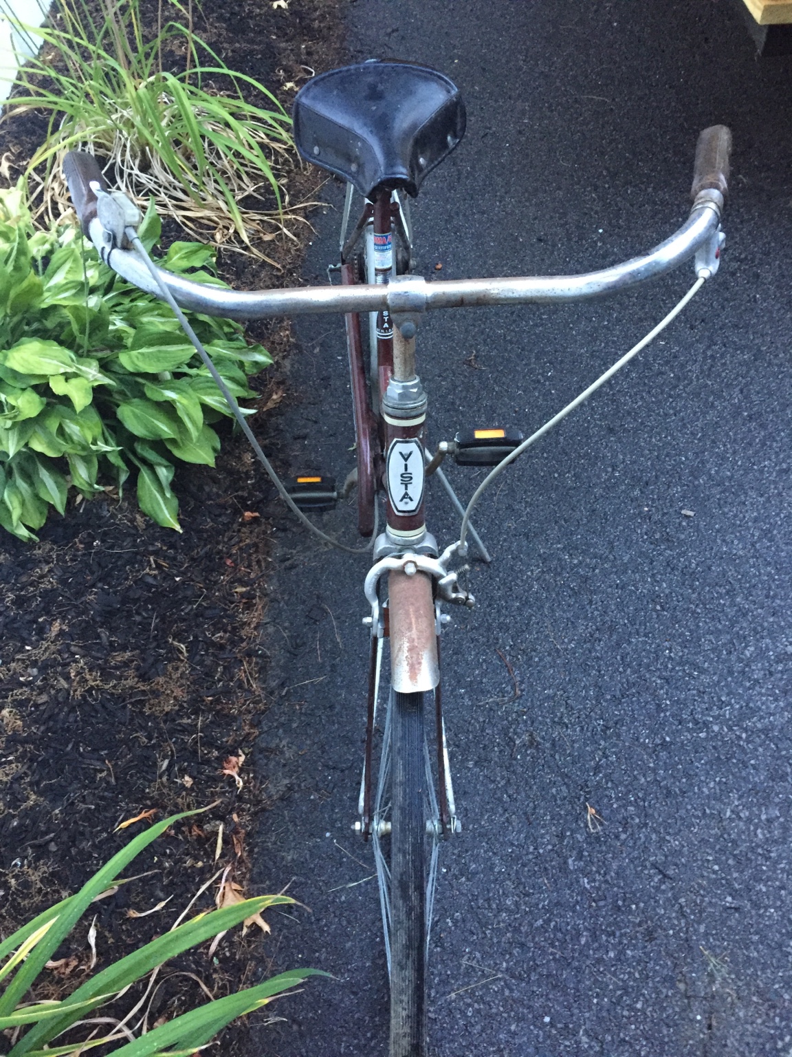 vintage vista cruiser bike
