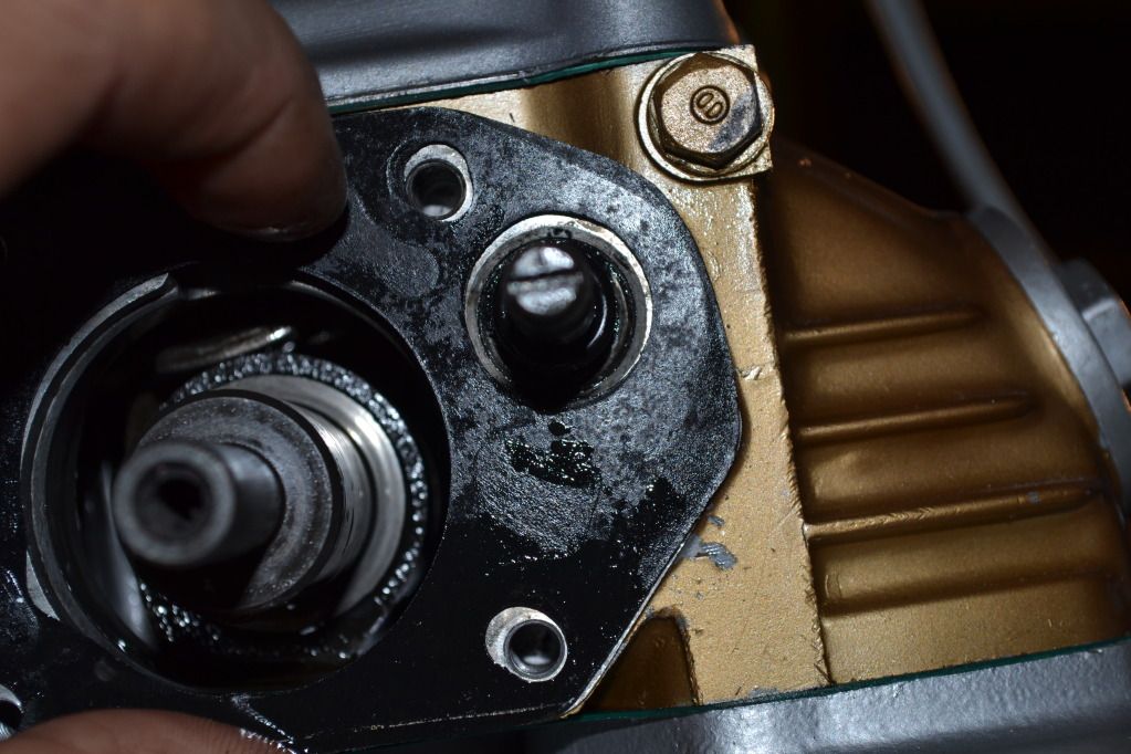 DSC_8534_zps8026eadb.jpg