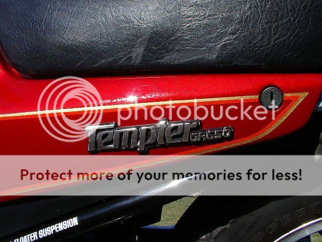 IMGP2802.jpg