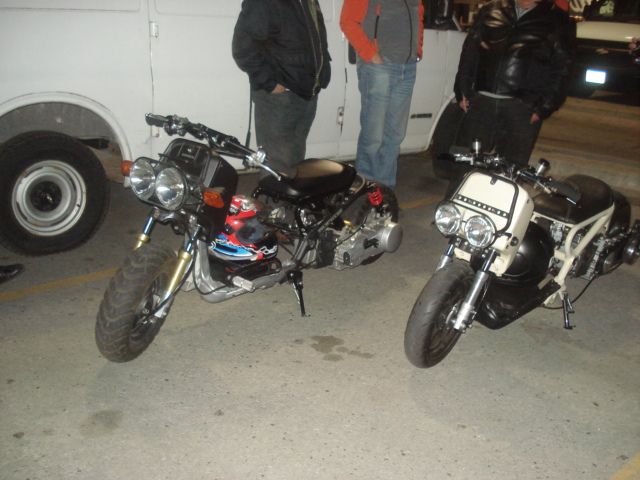 DSC07580.jpg