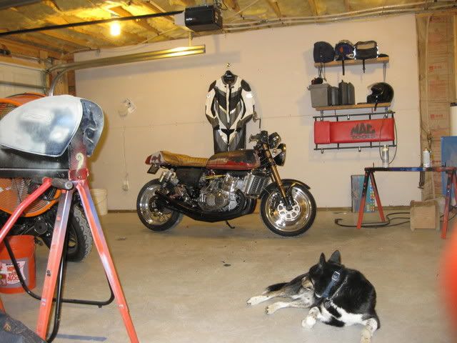 IMG_0312.jpg