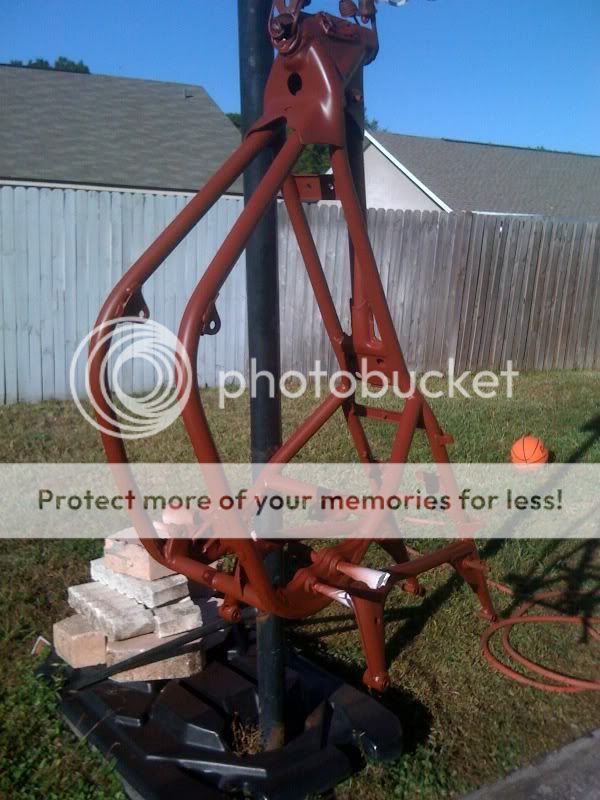 photo47.jpg