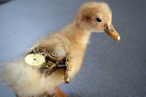 steampunk-taxidermy.jpg