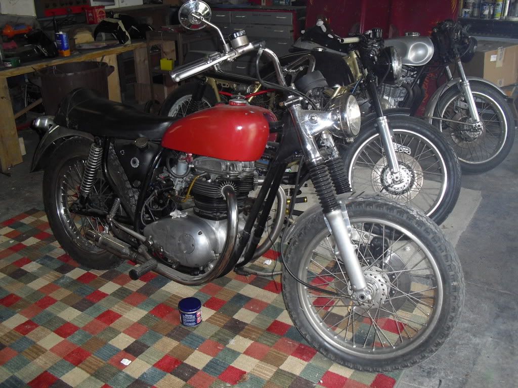 CIMG1350.jpg