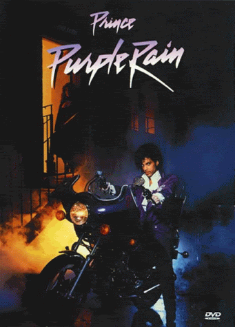 purple1.gif
