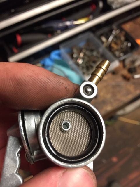 db87ac6f1a5d3da6097a4e4d93e37eaf.jpg