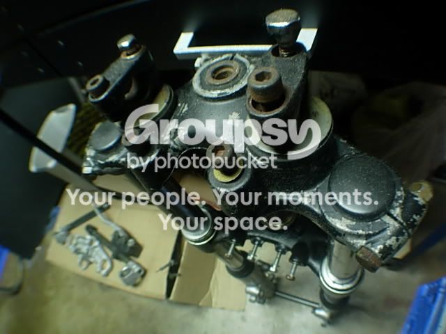 DSCN5333.jpg