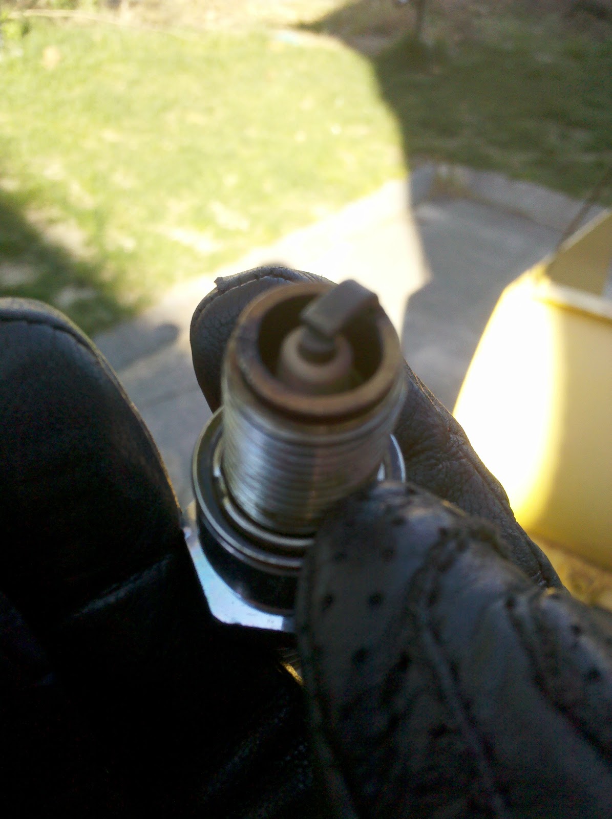 Plug+1.jpg