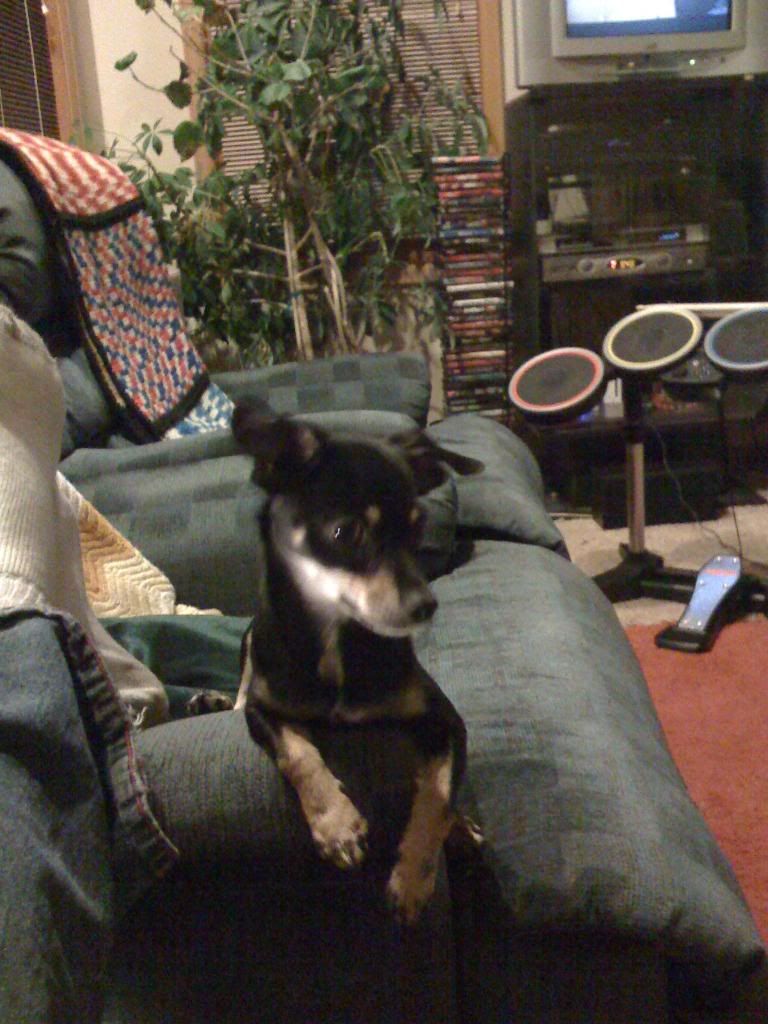 Iphonethrusept09145.jpg