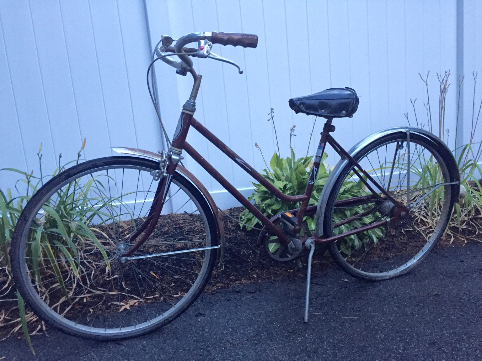 vintage vista cruiser bike
