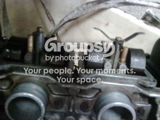 IMG00317.jpg