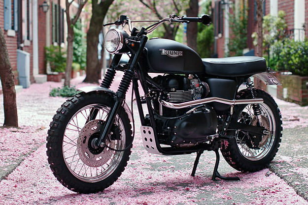 triumph-t100.jpg