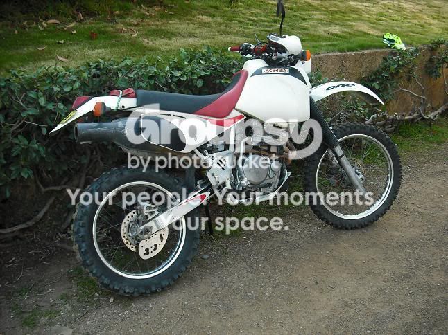 decal2.jpg