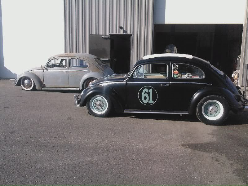 61andrat.jpg