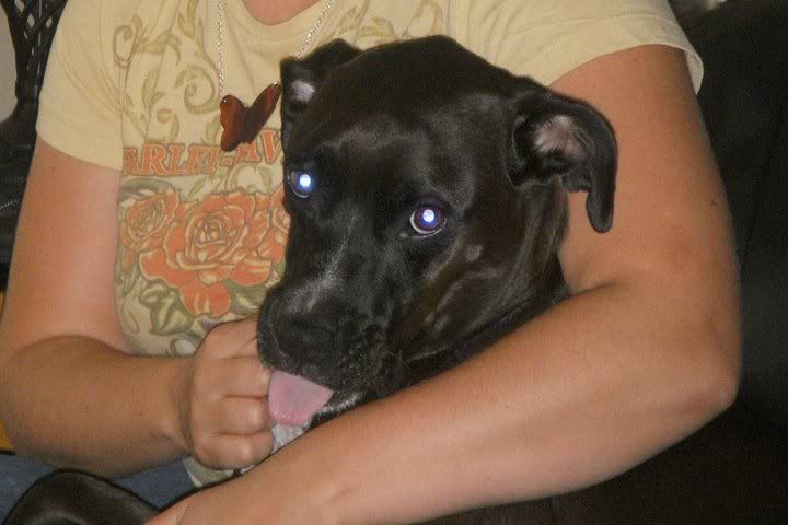 coheebwithhertongueout.jpg