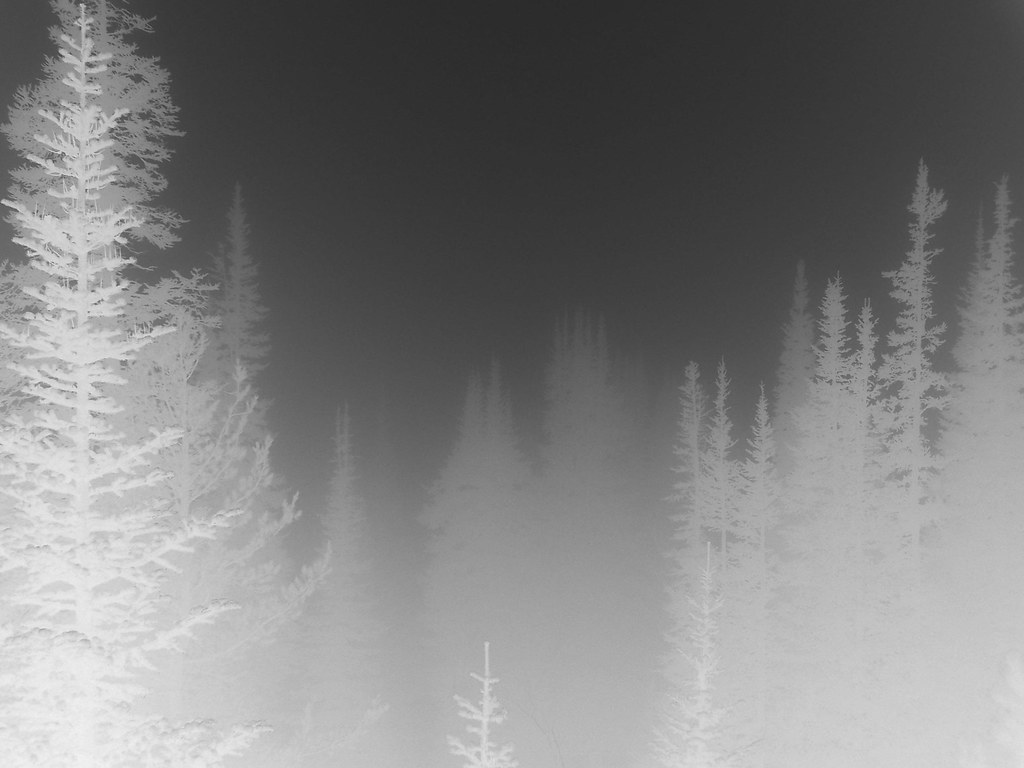 4112958056_a5a7ccd0a3_b.jpg