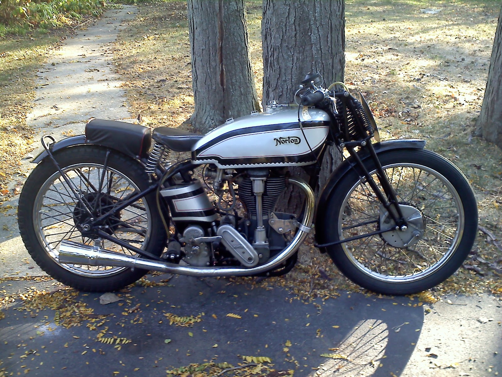 38+NORTON.jpg