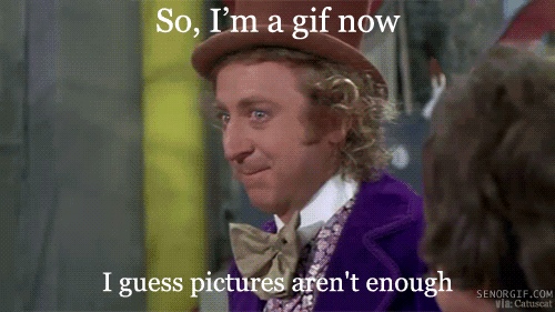 Willy-Wonka-Meme-Becomes-A-Gif-Because-Pictures-Arent-Enough.gif