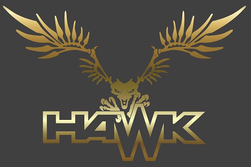 Hawk%2520Logo-Model.jpg